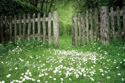 Aperturee Flowers Forest Spring Summer Backdrop For Portrait