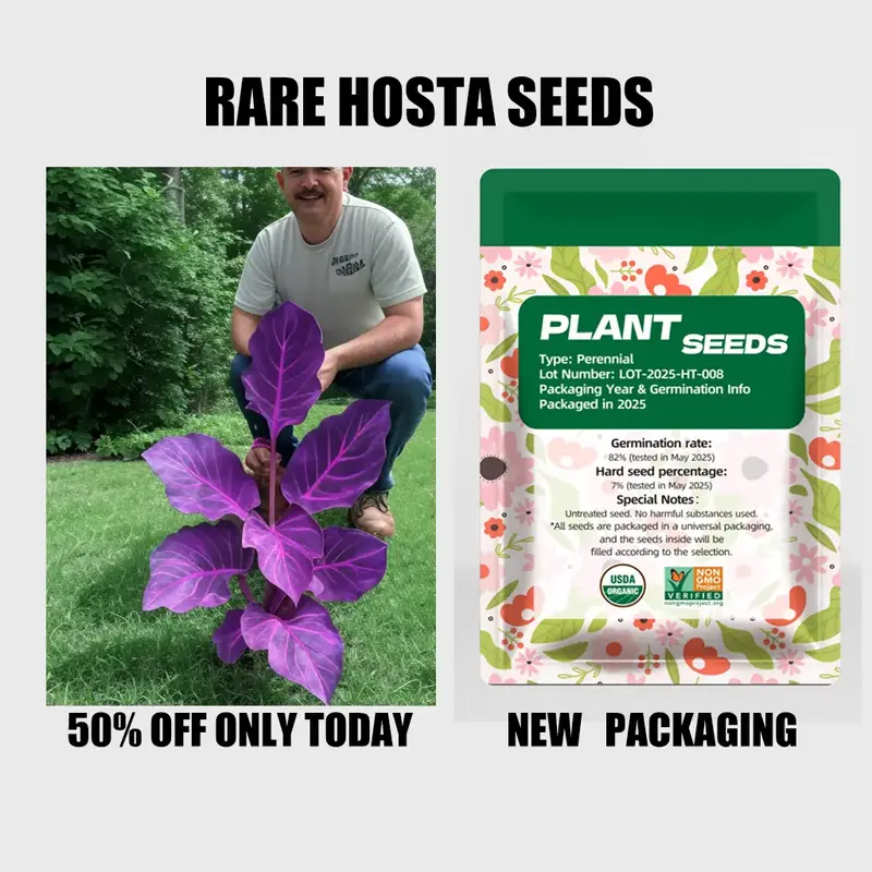 Rare Hosta Flower Seeds for Perennial Shade Garden Ornamental Foliage for Landscaping Outdoor