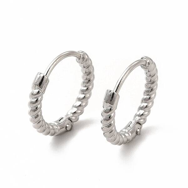 Non-Tarnish 316 Stainless Steel Hoop Earrings for Women