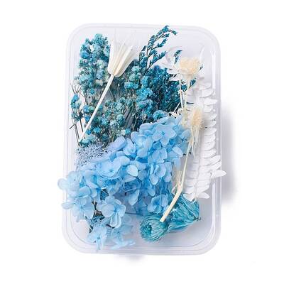 Dried Flowers