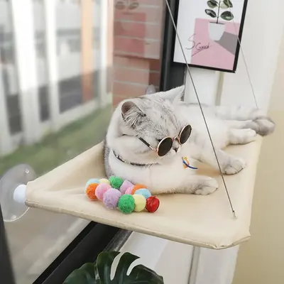 Cat Hammock, Cat Window Hanging Bed, Cats Window Lounger, Kitten Bed, Sleeping Space for Kitten, Pet Supplies, Dog Furniture