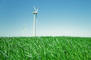 Sustainable Agriculture Theory: Cultivating a Greener Future