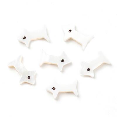 Natural Freshwater Shell Beads