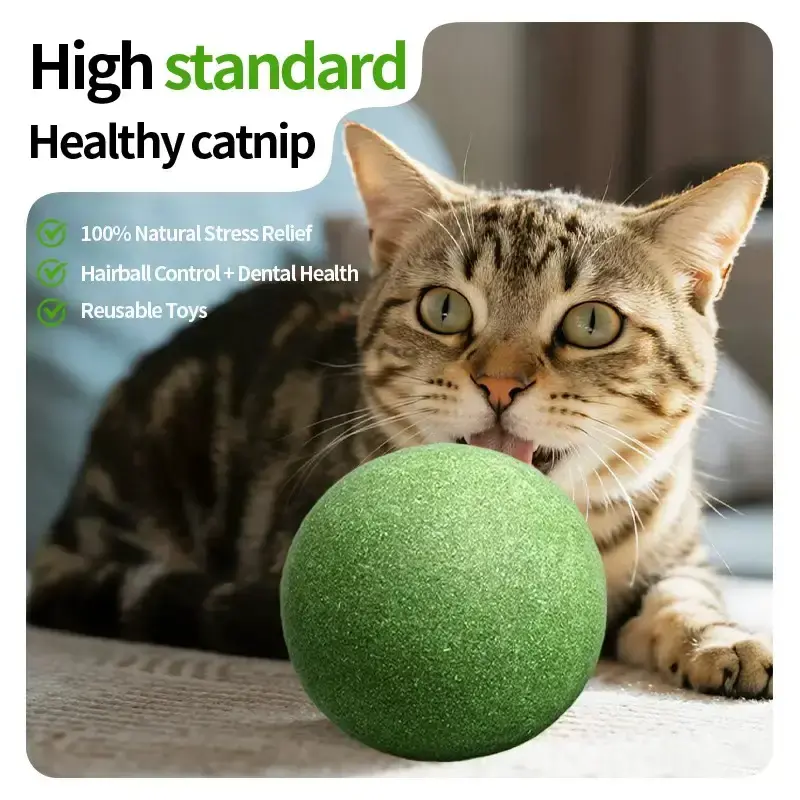 Catnip Jumbo-Sized Natural Ball, 10cm Diameter, Solid & Edible, Fun Cat Toy for Felines