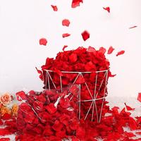 Simulated Artificial Rose Petal, 1000pcs Creative DIY Spring Decorative Fake Flower, Romantic Decoration Supplies for Festiva...