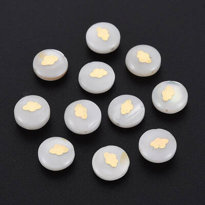 Natural Freshwater Shell Beads