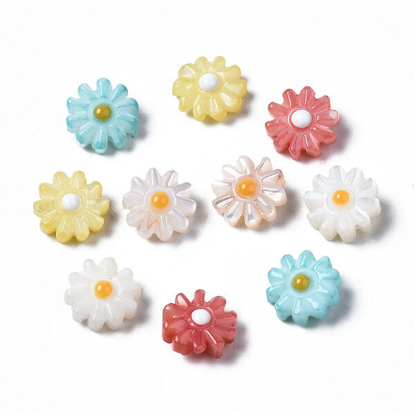 Natural Freshwater Shell Beads