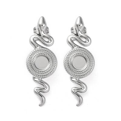 304 Stainless Steel Snake Stud Earrings