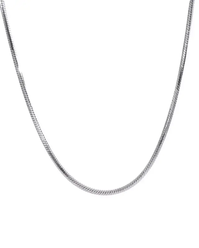 Silver Long Chain Necklace