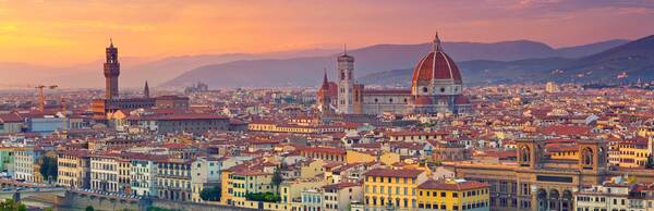 Politics and Power: An Introduction to Florence with Context