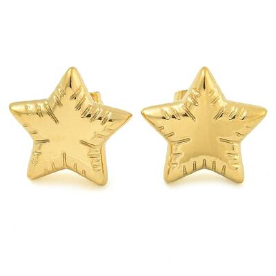Ion Plating(IP) 304 Stainless Steel Stud Earrings for Women