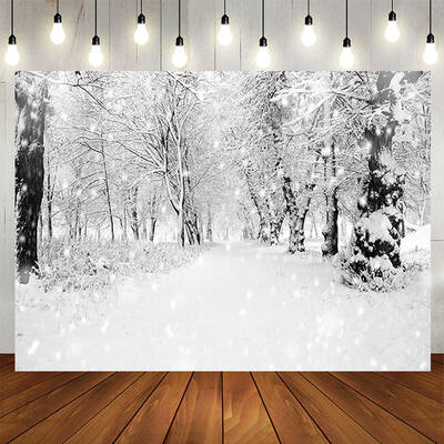 White Frozen Forest Path Winter Bokeh Party Backdrop - Aperturee