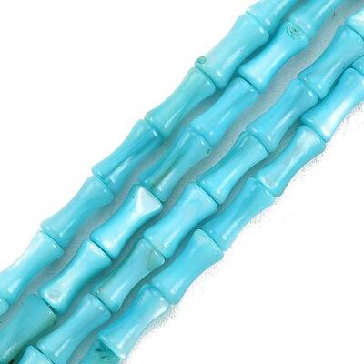 Natural Freshwater Shell Beads Strands