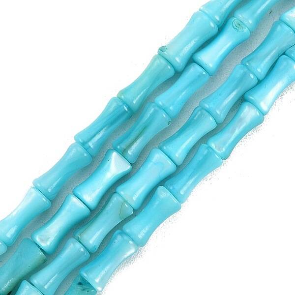 Natural Freshwater Shell Beads Strands