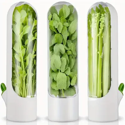 Herb Saver, 1 Count Herb Preservation Container,  Refrigerator Fresh Parsley Container for Home Dining Room Kitchen