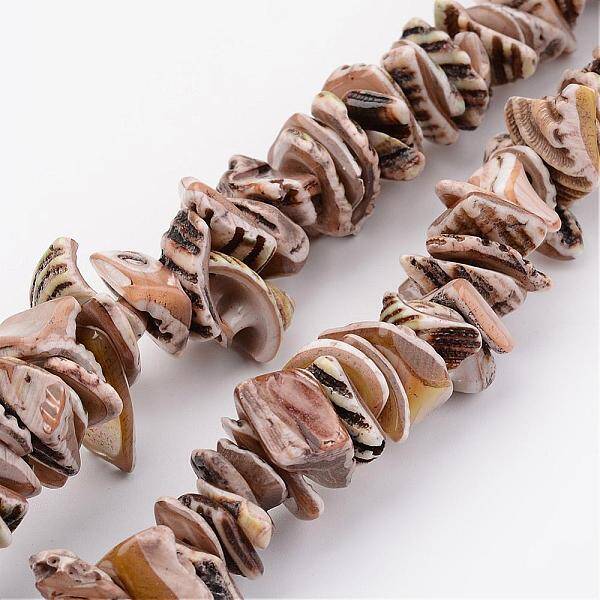 Natural Shell Bead Strands