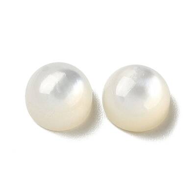 Natural White Shell Cabochons