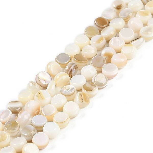 Natural Freshwater Shell  Beads Strands