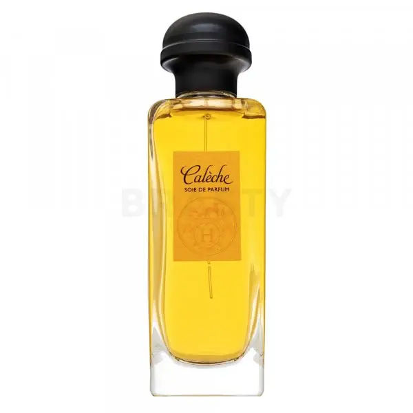 Hermès Caleche Soie De Parfum Eau de parfum for women 100 ml