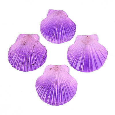 Spray Painted Natural Scallop Shell Big Pendants