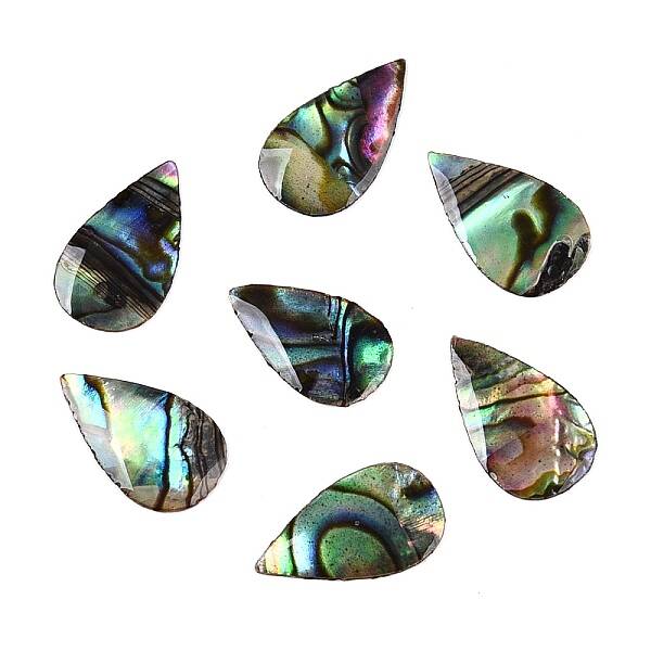 Natural Paua Shell Teardrop Cabochons