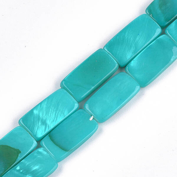 Spray Painted Freshwater Shell Beads