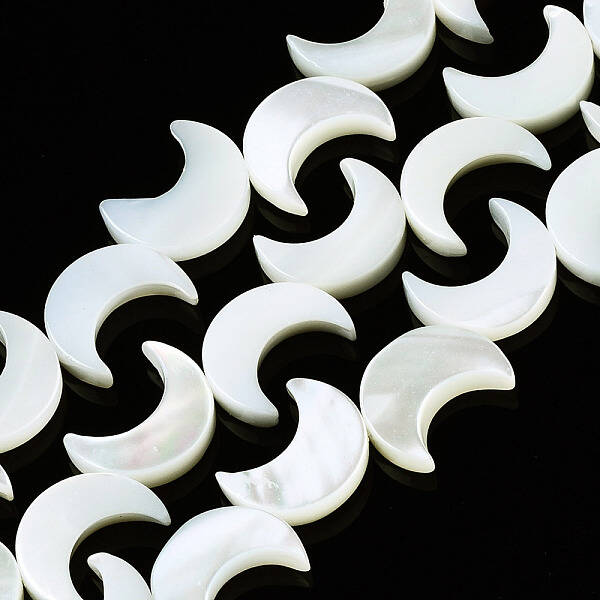 Natural Trochid Shell/Trochus Shell Beads Strands