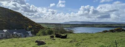 Essential Rathlin: The Small Island with a Big Story