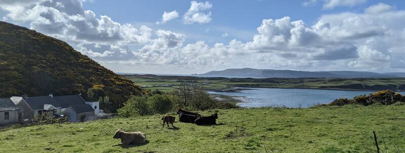 Essential Rathlin: The Small Island with a Big Story