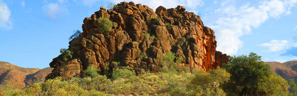 Driving the Outback: A Tour from Alice Springs to Ross River Resort