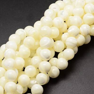 Natural Sea Shell Beads Strands
