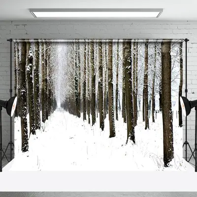 Snow Forest Scenery Winter Photography Backdrop - Aperturee