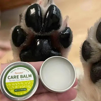 Natural Dog Company Skin Soother, 1 Count Moisturizer for Dry Skin, Dog Lotion, Ultimate Healing Balm, Dog Rash Cream, Honey ...