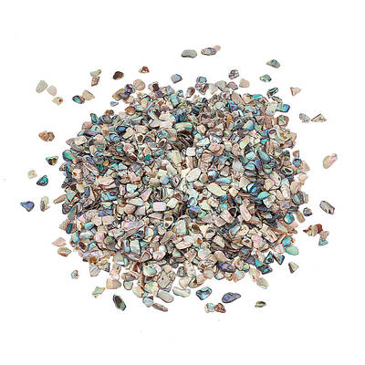 AHANDMAKER Shell Pieces for Crafts Light Khaki Nail Art Abalone Seashell Slices Nail Flakes Nail Art Decorations Accessories
