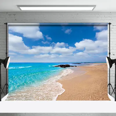 Sandy Beach Blue Sky Coastal Summer Photo Backdrop - Aperturee