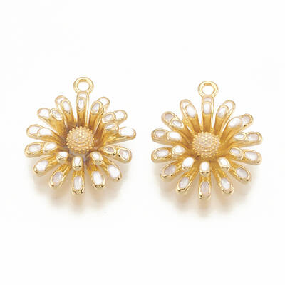 Brass Enamel Charms
