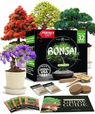Bonsai Tree Kit, Grow Your Own: Premium 4 Bonsai Trees Starter Kit | Unique Japanese Gifts for Moms Who Have Everything, Wome...
