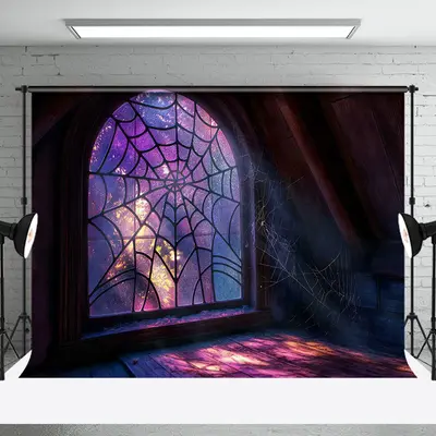Dark Retro Room Spider Wab Window Photo Backdrop