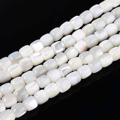 Natural Trochid Shell/Trochus Shell Beads Strands