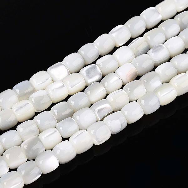 Natural Trochid Shell/Trochus Shell Beads Strands
