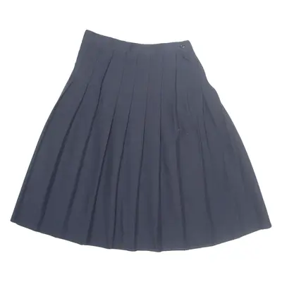 Womens Pleated Skirt Blue Knee Length XS