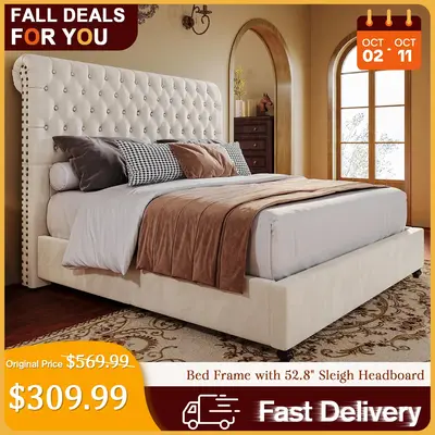 [TikTokShopfalldealsforyou]  AMERLIFE 52.8\