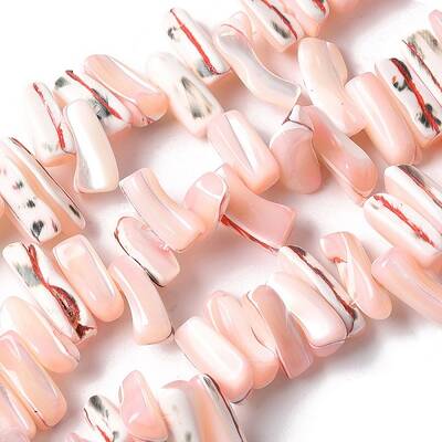 Dyed Natural Trochus Shell Beads Strands