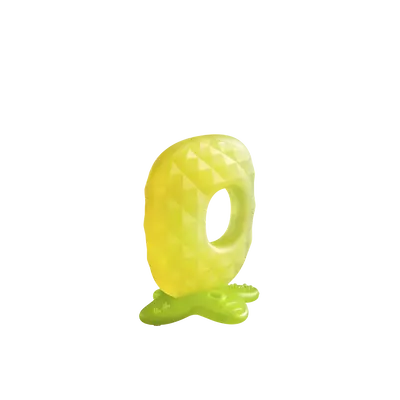 Fruit Teething Toy