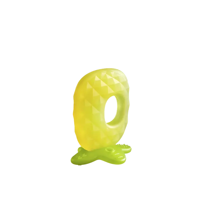 Fruit Teething Toy