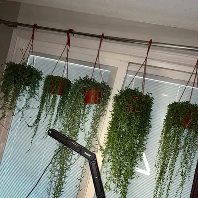 6’ string of things hanging bedroom Sculpture (6inch)