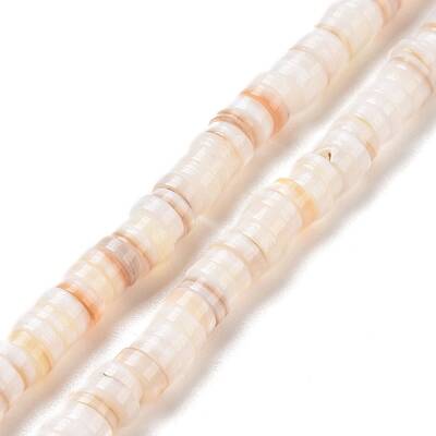 Natural Freshwater Shell Beads Strands