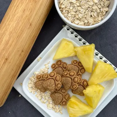 Pineapple Perfection Organic Homemade Dog Treats