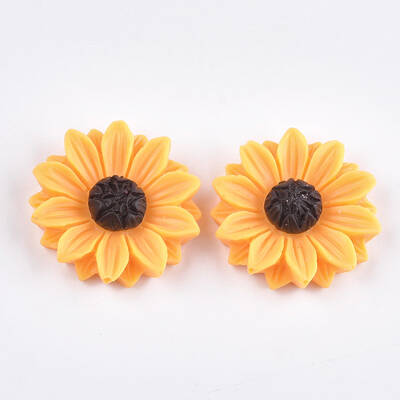 Resin Cabochons