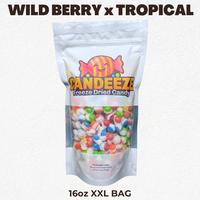 WILD BERRY x TROPICAL (XXL Rainbow Crunch) - Freeze Dried Candy